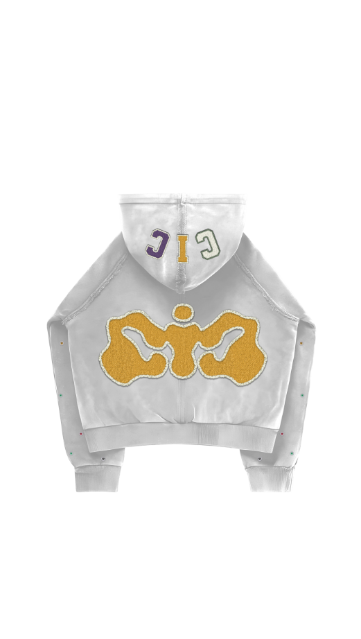 CIC Chenille Varsity Zip Up in Wolf Gray