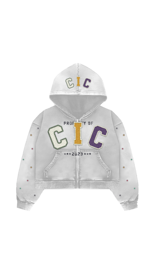 CIC Chenille Varsity Zip Up in Wolf Gray